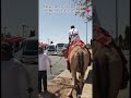 Jerusalem Tatay S Camel Ride Experience At The Mt Of Olives