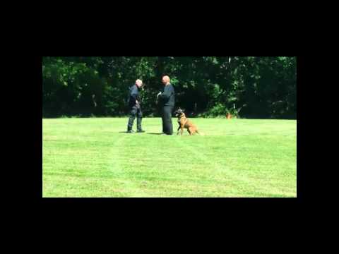 Oefendag Pitou, PHV Pagnevaart Oudenbosch