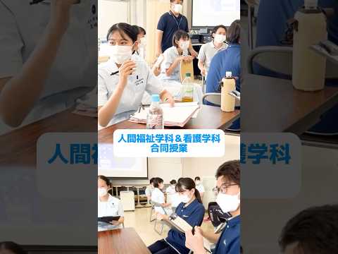 新宿キャンパスで実施された人間福祉学科と看護学科のIPE（専門連携教育）に潜入👀 #目白大学 #大学の授業 #介護福祉士 #看護師