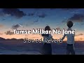 Tum Se Milkar Na Jane Kyun | Old Song | Slowed And Reverb | Lata Mangeshkar | Akash Lofi Music