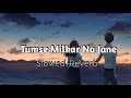 Tum Se Milkar Na Jane Kyun Old Song Slowed And Reverb Lata Mangeshkar Akash Lofi Music