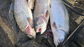 3 Std in DK am Frueskov Fiskesø