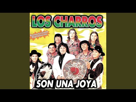 Me Bebi Tu Recuerdo