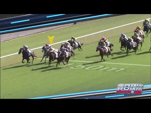 【賽日頭條】21/22 #23 – 姚本輝確認再得勝（11月28日）