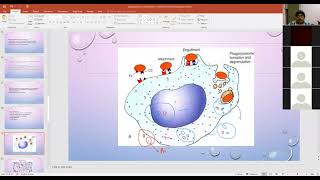 Download Lagu Cellular Events of Inflammation, Part-2 by Dr. Sanjiv Kumar, Vet. Pathology, BVC Thumbnail