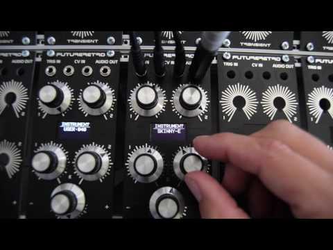 Future Retro Transient