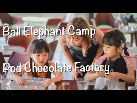 Fábrica de Chocolate Pod e Acampamento de Elefantes de Bali [VLOG]🌺[Fábrica de Chocolate]