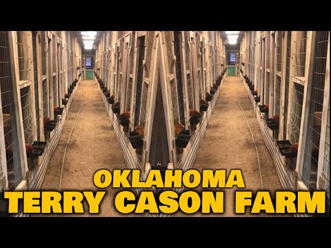 Terry Cason Big Farm In Oklahoma