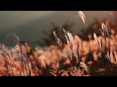 Five Hundred Miles | Cover | Ukelele