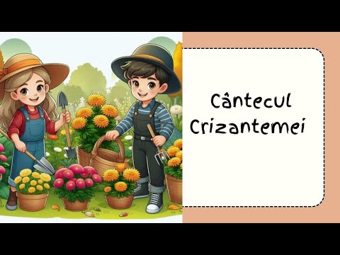 Chrysanthemum Song || Chrysanthemum Song || Autumn Flowers Song