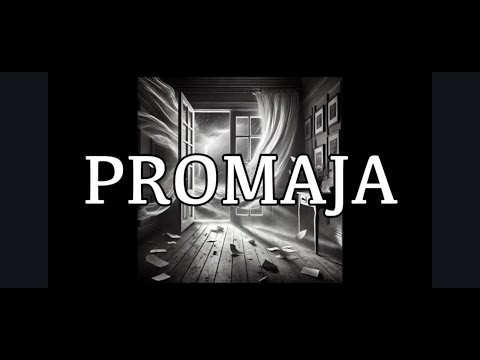 PROMAJA - KULTUR SHOCK