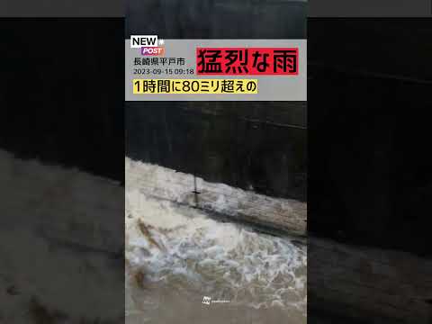  10月は庭で何をしましょうか？涼しい天候に備えるための必須の操作  庭園