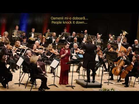 Diamandi Gheciu / Ionut Pascu - Clepsidra (The Hourglass) - Aida Pascu