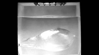 Oregon Ballistic Labs - Liquid Vessel Ballistic Test