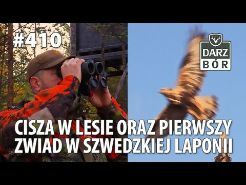 Darz Bór odc. 410 Cisza w lesie oraz pierwszy zwiad w Szwedzkiej Laponii