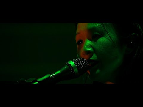 Die Wilde Jagd - “Himmelfahrten” (Live at Roadburn Festival 2021)