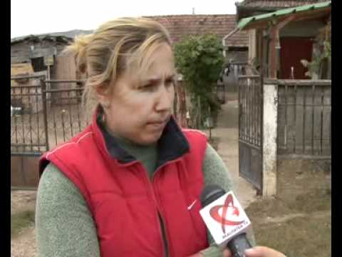 copii gadalin jucu REALITATEA TV Cluj 13 octombrie