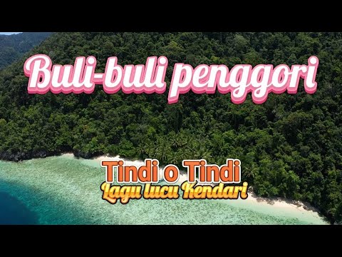 Lagu Viral Kendari - Buli buli Penggori