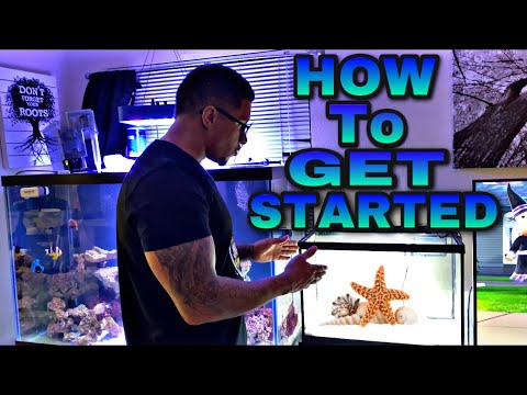 HOW to set up your FIRST SALTWATER AQUARIUM!!!