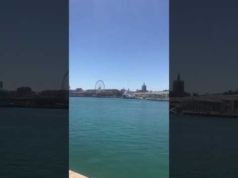 Panoramic view over Malaga harbour och city