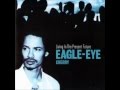 Eagle-Eye Cherry - Are You Still Having Fun