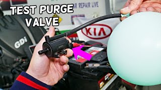 HOW TO TEST PURGE CONTROL VALVE ON KIA SPORTAGE, KIA SORENTO