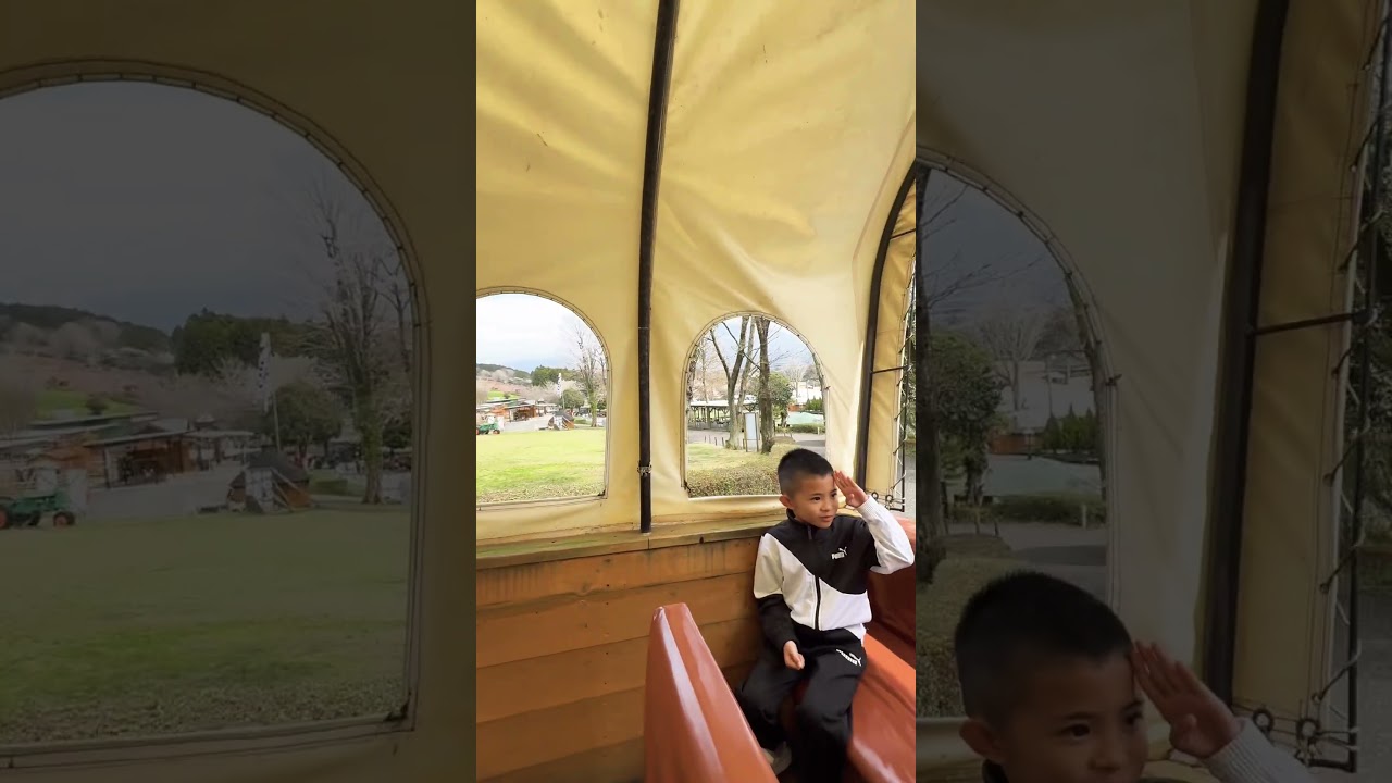 The  Beauty of Makaino Farm Resort 🇯🇵 #shorts #makainofarm #japan #mountfuji #cherryblossoms