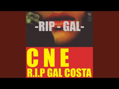R.I.P Gal Costa