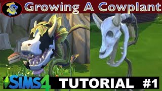 The Sims 4 Tutorial How to Grow a Cow Plant