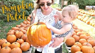 PICKING THE PERFECT PUMPKIN!