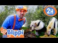 Blippi Meets Cool Animals At The Zoo Blippi Educational Kids Videos Moonbug Kids