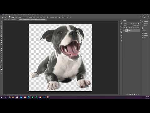 Photoshop 101 Episode 15   History and Art History Brushes