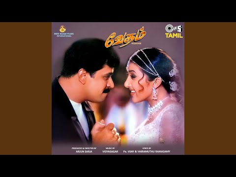 Konji Konji Pesi — watch video