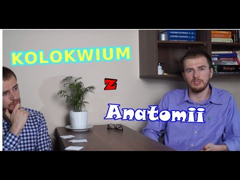 Główną funkcją teres mięśni z powrotem Skurcze nóg u kobiet w ciąży w nocy