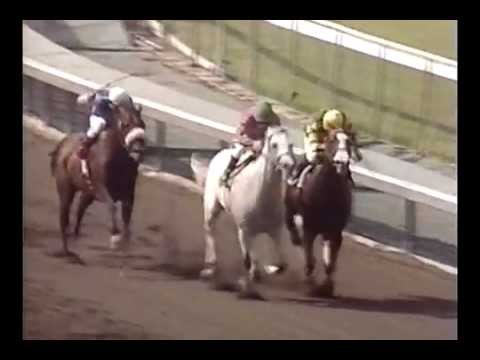 1996 Goodwood BC Handicap - Alphabet Soup *Disqualified*