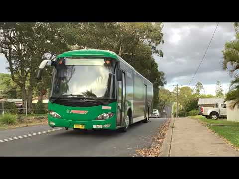 Forest Coach Lines Coffs Harbour BCI JXK6120AG