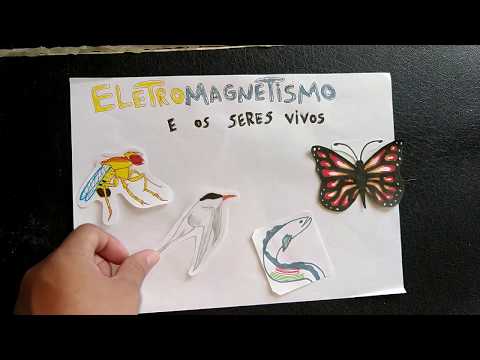 Eletromagnetismo e os seres vivos