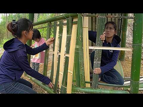 Solo Survival: Building a Bamboo House and Finding Wild Food in the Forest