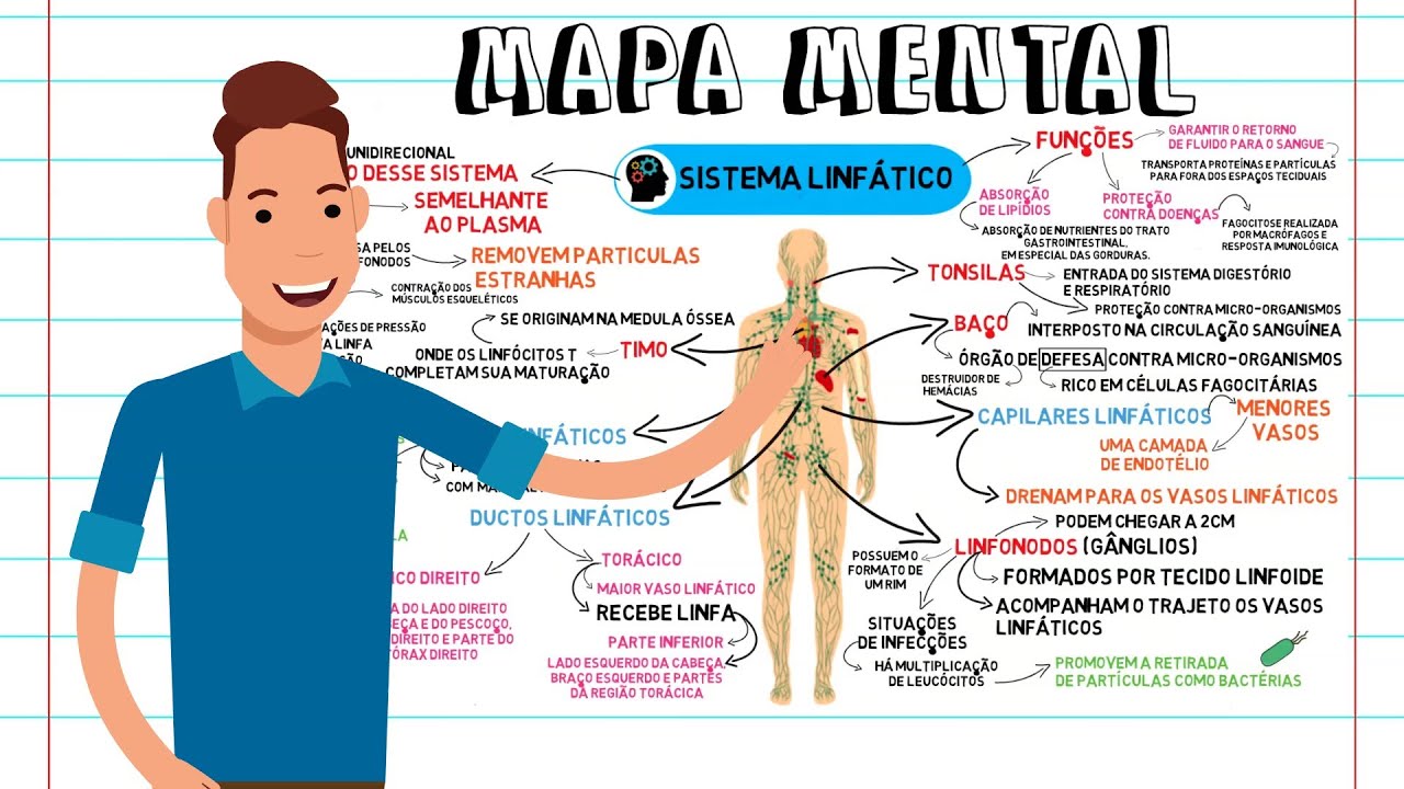 MIND MAP - LYMPHATIC SYSTEM