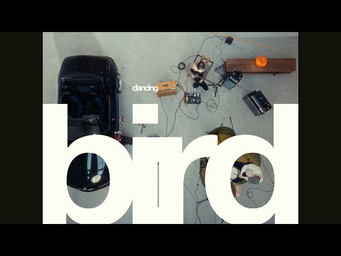 The Poles - Dancing Bird [Official MV]