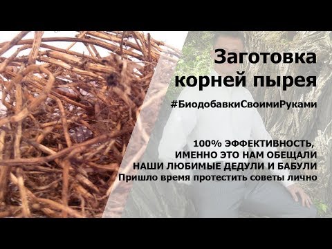 Лфк для шеи при остеохондрозе шейного отдела позвоночника Лечение асептического спондилита позвоночника что это такое и лечение