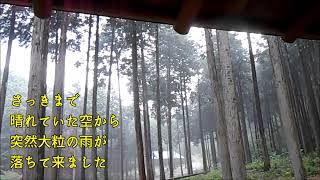 2015.6.21 なか・やちよの森 突然の雨