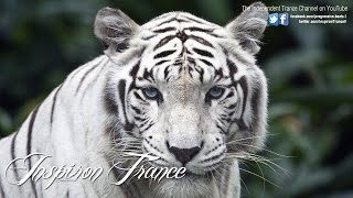 Paul Oakenfold - Southern Sun (DJ Tiesto Remix)