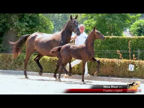 Nina Ricci (Franklin x Uphill)