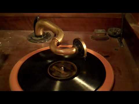 BEN SELVIN BROADWAY NITELITES VIVA-TONAL - JUST ANOTHER DAY WASTED AWAY - ROARING 20's VICTROLA 8-30