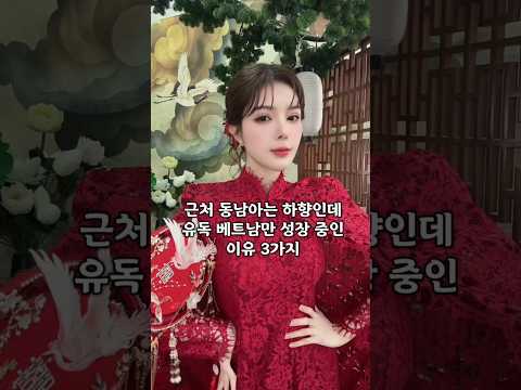 근처 동남아 보다 베트남이 성장중인 이유 ##다낭 #다낭자유여행 #황제투어