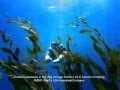 pacific life PARTNR15 2001 TV Commercial Ad pacific life PARTNR15 2001 TV Commercial Ad