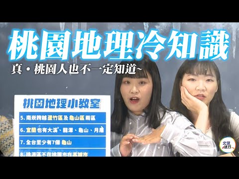 桃園地勢圖
