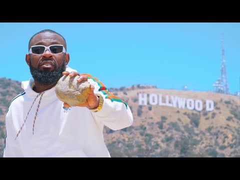 Fabregas le Métis Noir - Moellon (Clip Officiel) feat. Villa Nova