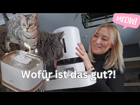 Apollo & Cosmo optimal versorgt: Petlibro Smart Futtautomat & Kabelloser Trinkbrunnen (Anzeige)